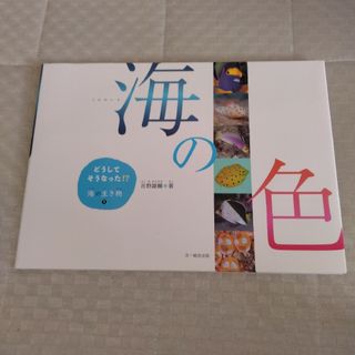 「どうしてそうなった!?海の生き物 1」(絵本/児童書)