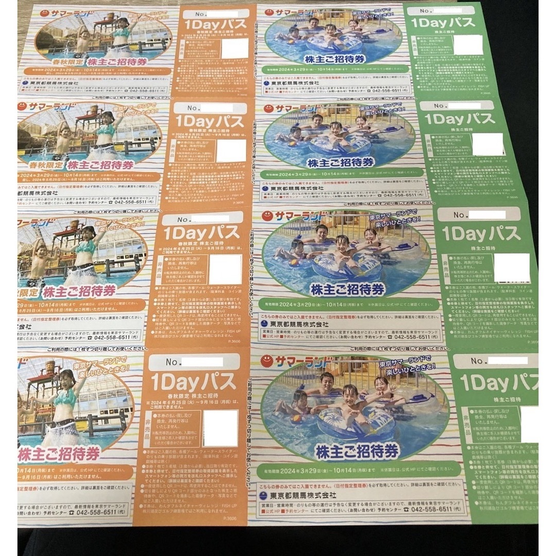 東京サマーランド 株主優待 1Dayパス 8枚 チケットの施設利用券(遊園地/テーマパーク)の商品写真