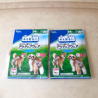 ①犬用オムツ　2枚セット❣️ 新品　M以上フリーサイズ　男女共用　エリエール(犬)