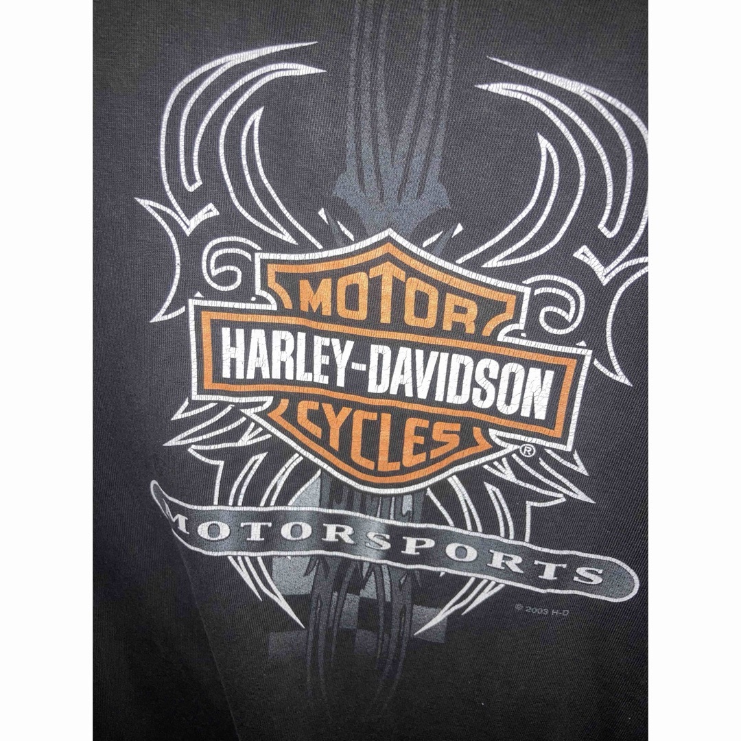 Harley Davidson(ハーレーダビッドソン)のハーレーダビッドソン ロンティー 長袖 3XL ロシア製 Tシャツ メンズのトップス(Tシャツ/カットソー(七分/長袖))の商品写真