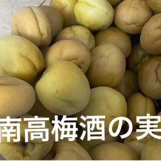 紀州南高梅　梅酒の実　3Lサイズ　1kg(漬物)