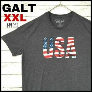 e21 US古着　GALT　ガルト　半袖Tシャツ　USA　アメリカ国旗(Tシャツ/カットソー(半袖/袖なし))