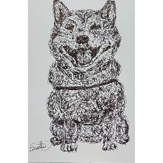 『柴犬』一筆書き。ボールペン画【14】。絵画。犬。ハガキ。(絵画/タペストリー)
