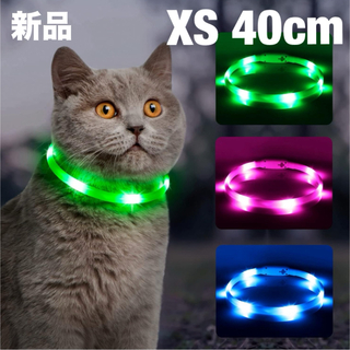 Dolitego 光る犬の首輪 LED 充電式 ライト シリコン　XS グリーン(リード/首輪)