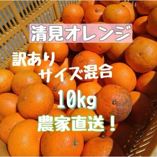 訳あり 清見オレンジ10kg サイズ混合(フルーツ)