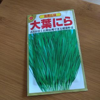 アタリヤ 豊産広巾 大葉にら(その他)