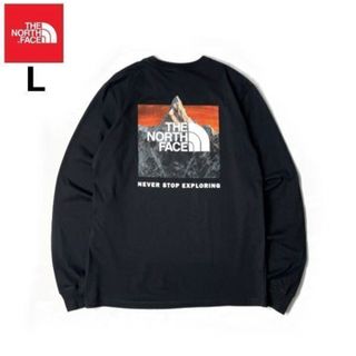 ザノースフェイス(THE NORTH FACE)のTHE NORTH FACE 長袖 Tシャツ ロンT US限定 (L)黒(Tシャツ/カットソー(七分/長袖))