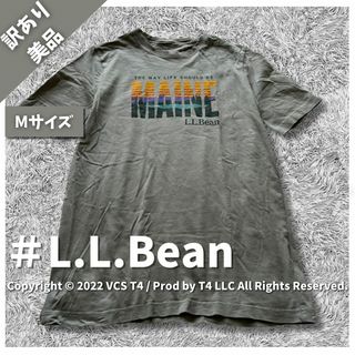 エルエルビーン(L.L.Bean)の【訳あり美品】エルエルビーン Tシャツ M グレー 春夏 プリント ✓4055(Tシャツ/カットソー(七分/長袖))