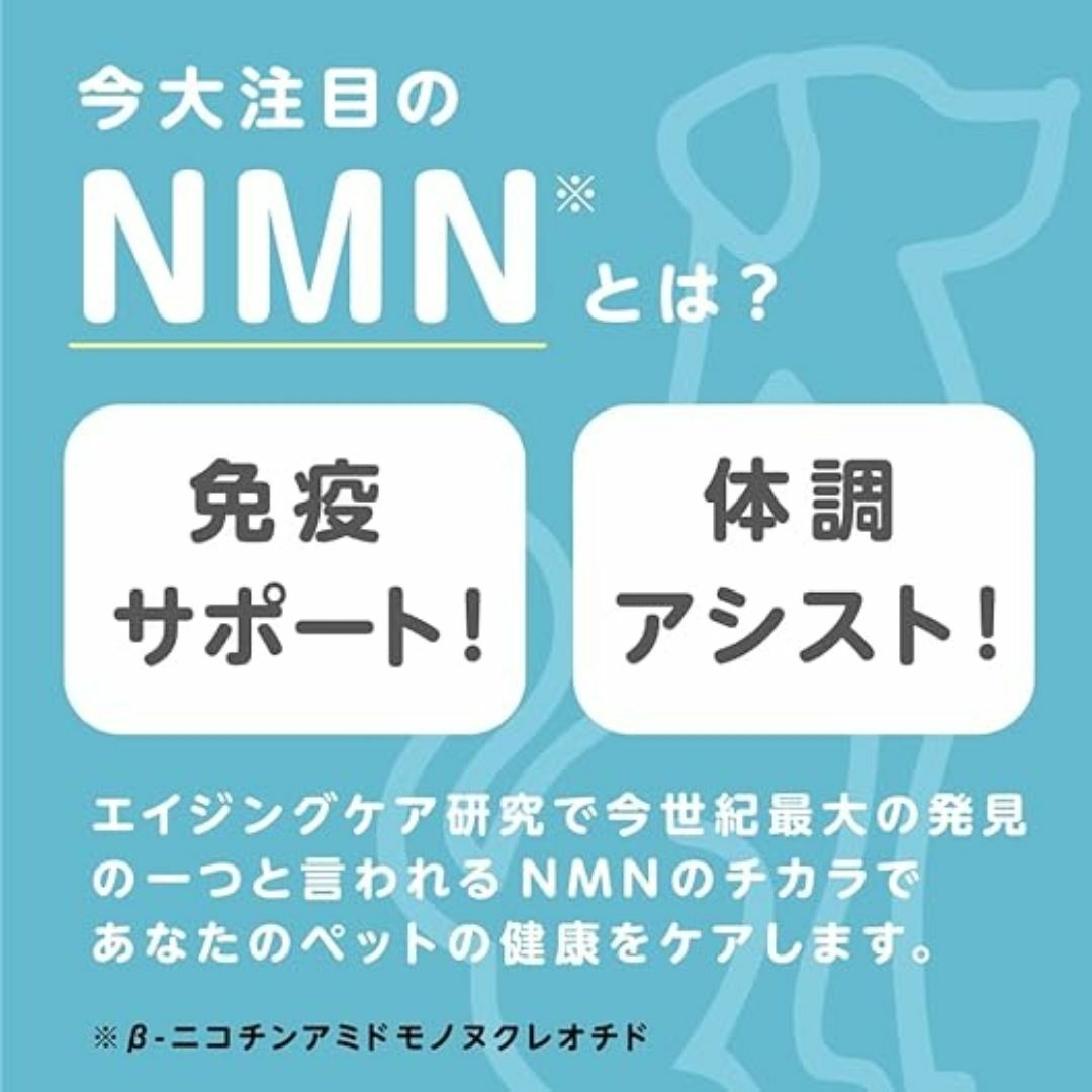 β- NMN for PET 犬・猫用 ペットのためのサプリメント  その他のペット用品(猫)の商品写真