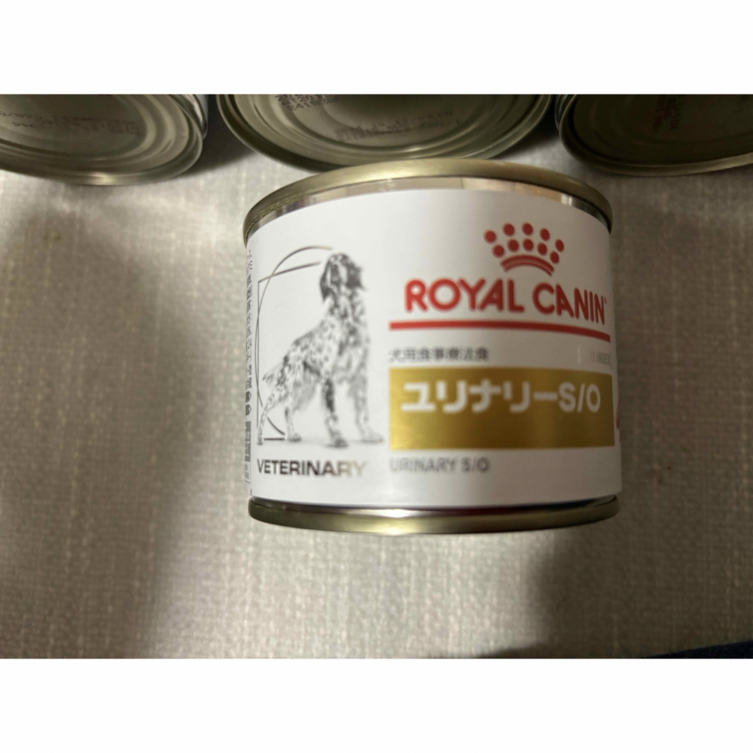 ROYAL CANIN(ロイヤルカナン)の【新品】ロイヤルカナン　ROYALCANIN ユリナリーs/o ストルバイト13 その他のペット用品(犬)の商品写真