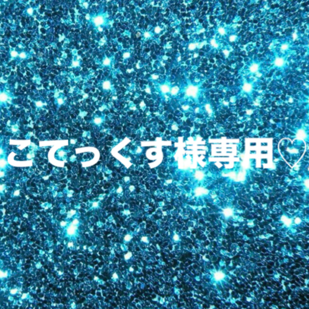 こてっくす様専用♡ レディースのファッション小物(キーホルダー)の商品写真