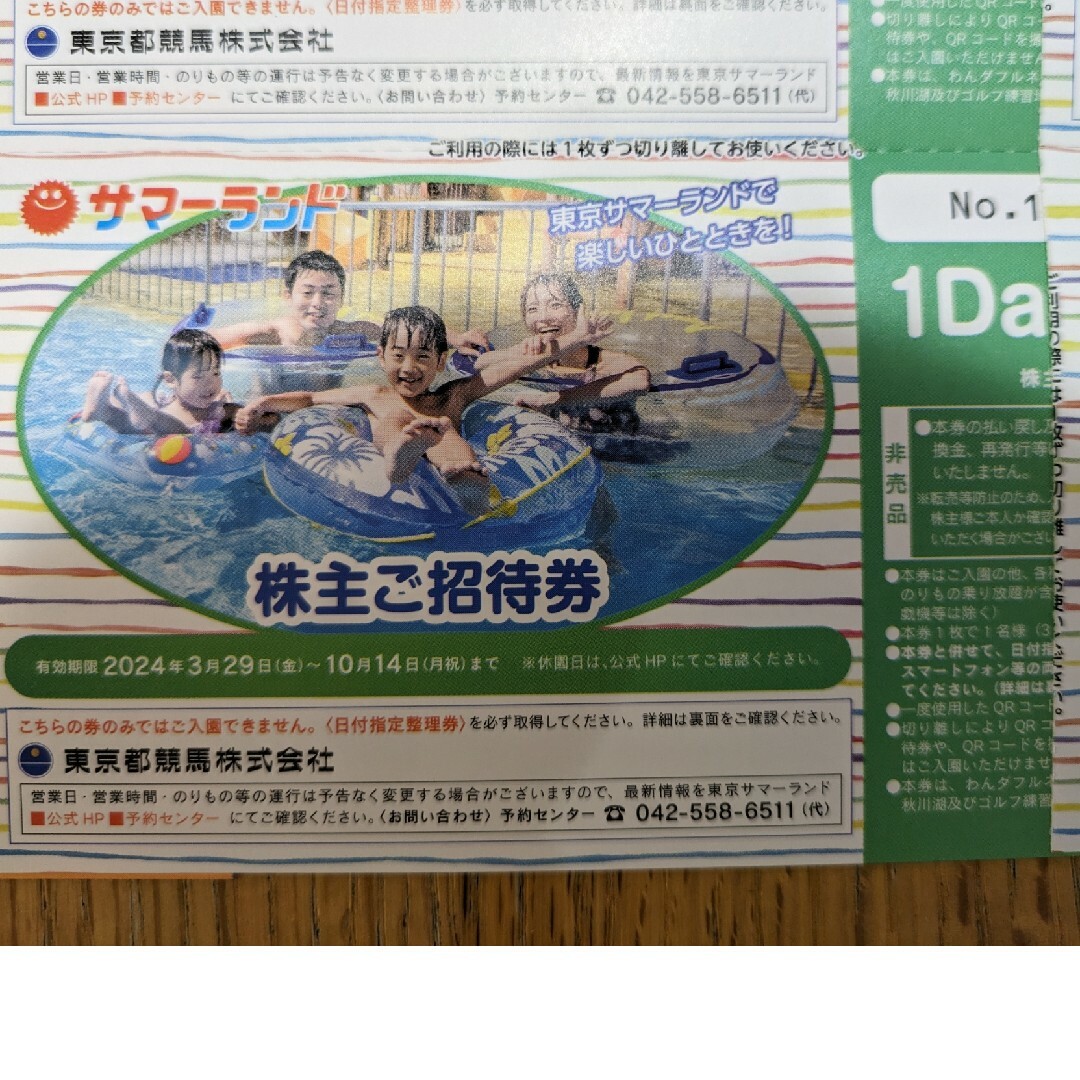 東京サマーランド1dayパス セット 東京都競馬株主会社株主優待 東京サマーランド1dayパス セット 東京都競馬株主会社株主優待