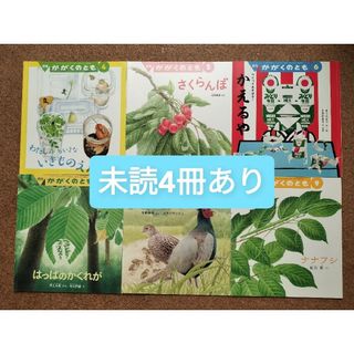 かがくのとも 2021年 4〜9月号 6冊セット(絵本/児童書)