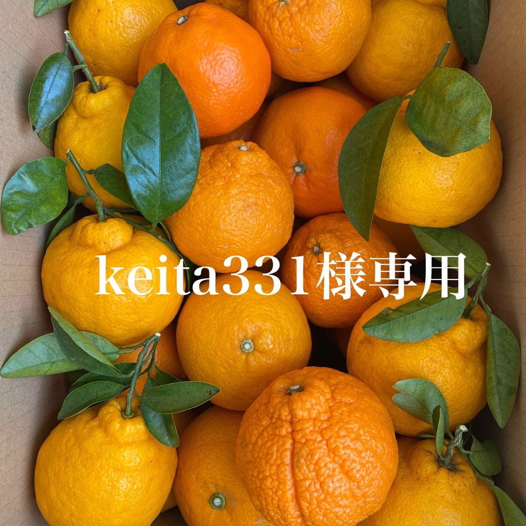 keita331様専用 食品/飲料/酒の食品(フルーツ)の商品写真