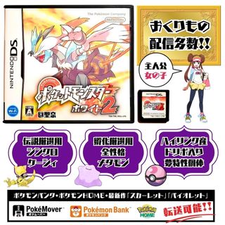 ニンテンドーDS(ニンテンドーDS)のポケットモンスター ホワイト2(携帯用ゲームソフト)