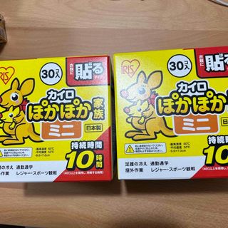 アイリスオーヤマ(アイリスオーヤマ)の【箱無し】ぽかぽか家族 貼るミニ30個入り×2箱(日用品/生活雑貨)