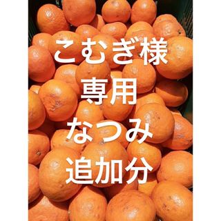 こむぎ様　専用　なつみ　追加分(フルーツ)