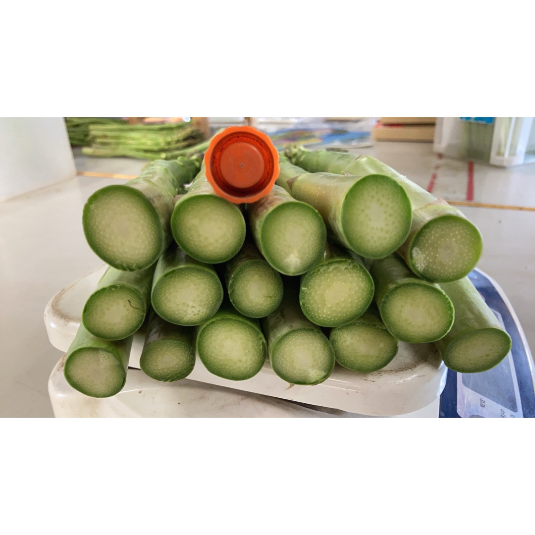 信州産　アスパラガス　2L〜3L  1kg 食品/飲料/酒の食品(野菜)の商品写真