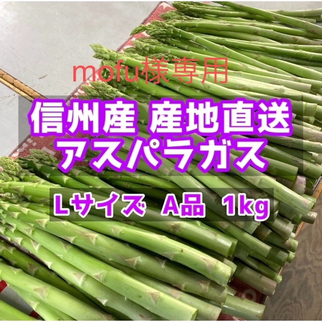 信州産　アスパラガス　Lサイズ　1kg 食品/飲料/酒の食品(野菜)の商品写真