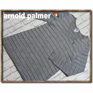 アーノルドパーマー(Arnold Palmer)のアーノルドパーマー　刺繍入りVネックニット　グレー☆大きいサイズ(ニット/セーター)