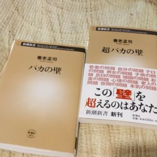 ⭐バカの壁/超バカの壁　②冊(その他)