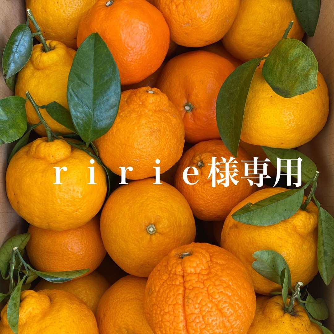 ｒｉｒｉｅ様専用 食品/飲料/酒の食品(フルーツ)の商品写真