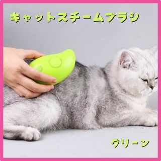 キャット スチームブラシ USB充電 マッサージ 犬 猫 ブラッシング 緑(猫)