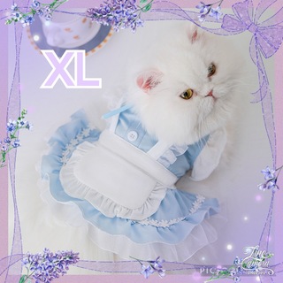 XL 犬服 ドッグウェア メイド服 アリス ワンピース 猫 犬 可愛い フリル(ペット服/アクセサリー)