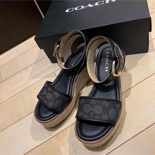 コーチ(COACH)のCOACH コーリー エスパドリーユ・シグネチャー ジャカード(サンダル)