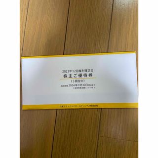 マクドナルド株主優待5冊　有効期限2024年9月30日(その他)