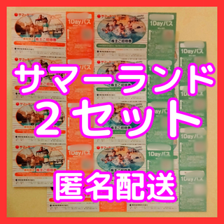 東京サマーランド 株主優待券 ２セット ワンデーパス　東京都競馬　株主優待(遊園地/テーマパーク)