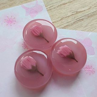 桜羊羹 マグネット B品(その他)