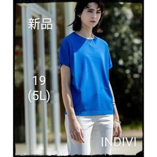 インディヴィ(INDIVI)のINDIVI【新品】フレンチスリーブ Tシャツライクサマーニット(ニット/セーター)