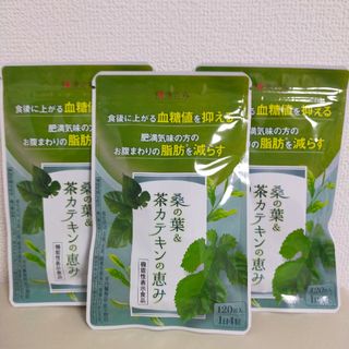 和漢の森 - 匿名配送　桑の葉&茶カテキンの恵み 120粒　3袋　和漢の森