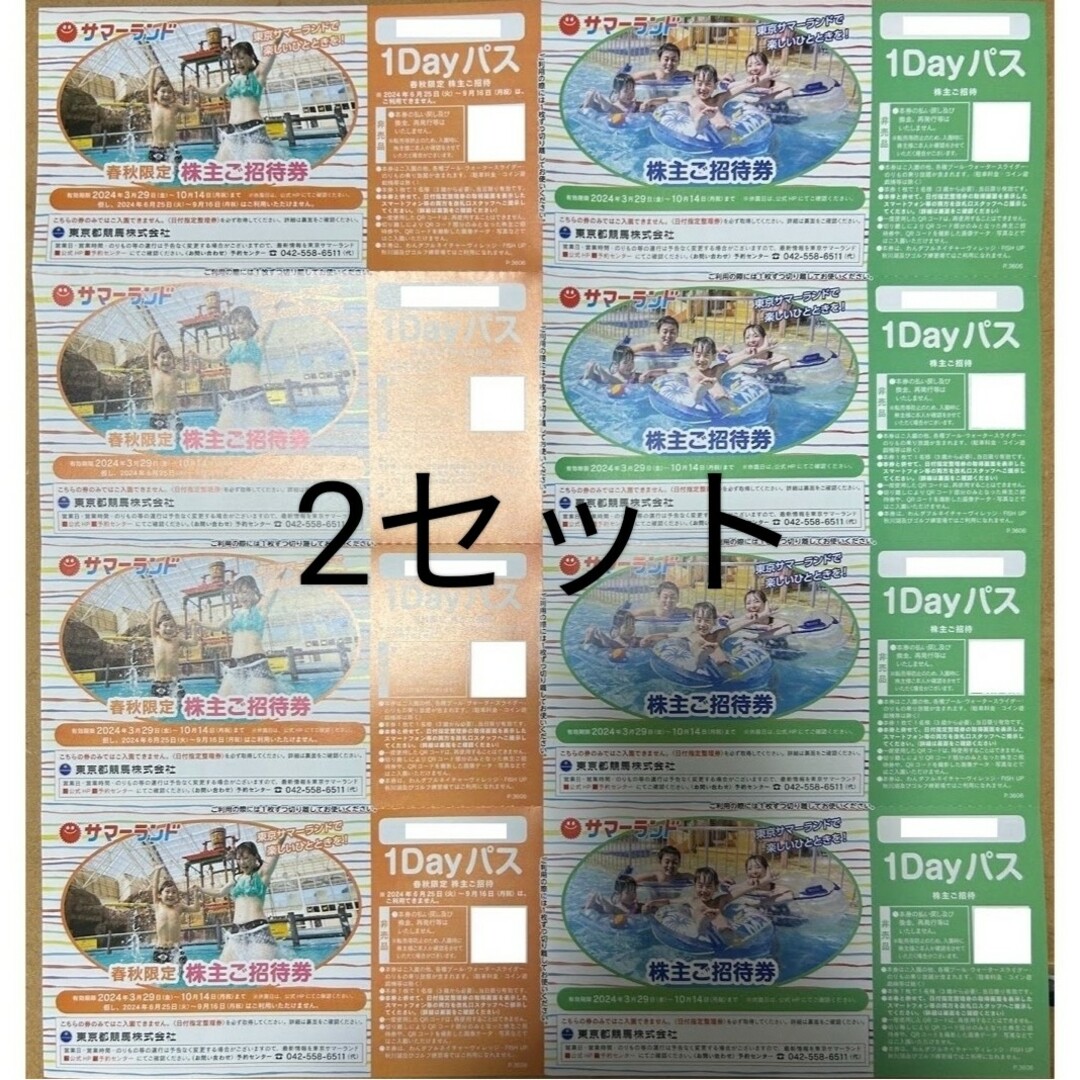 【最新】東京サマーランド　1dayパス　2セット チケットの施設利用券(遊園地/テーマパーク)の商品写真