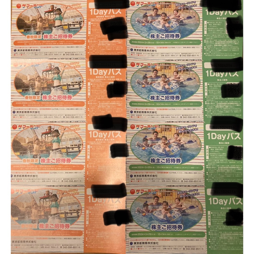 東京競馬場 株主優待券 チケットの施設利用券(遊園地/テーマパーク)の商品写真