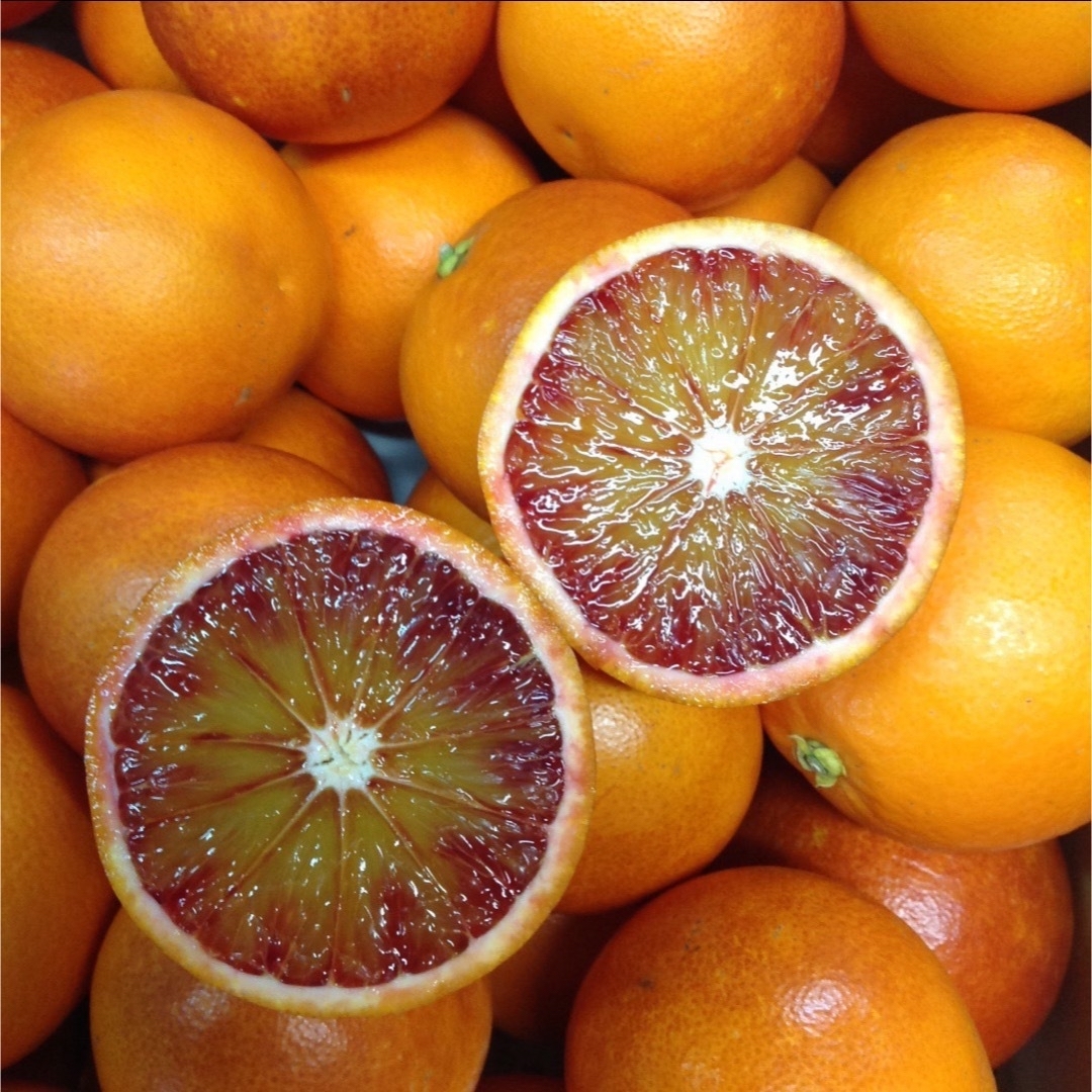 ブラッドオレンジ10kg  食品/飲料/酒の食品(フルーツ)の商品写真