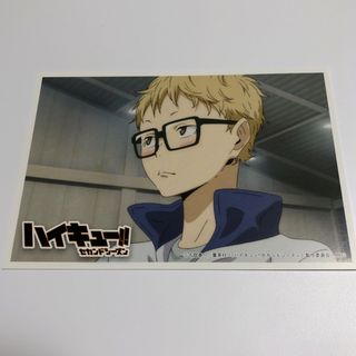 シュウエイシャ(集英社)のハイキュー　月島 蛍　アニメイト特典　ポストカード(キャラクターグッズ)