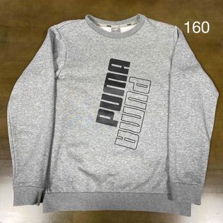 プーマ(PUMA)のPUMA スウェット　160 グレー(Tシャツ/カットソー)