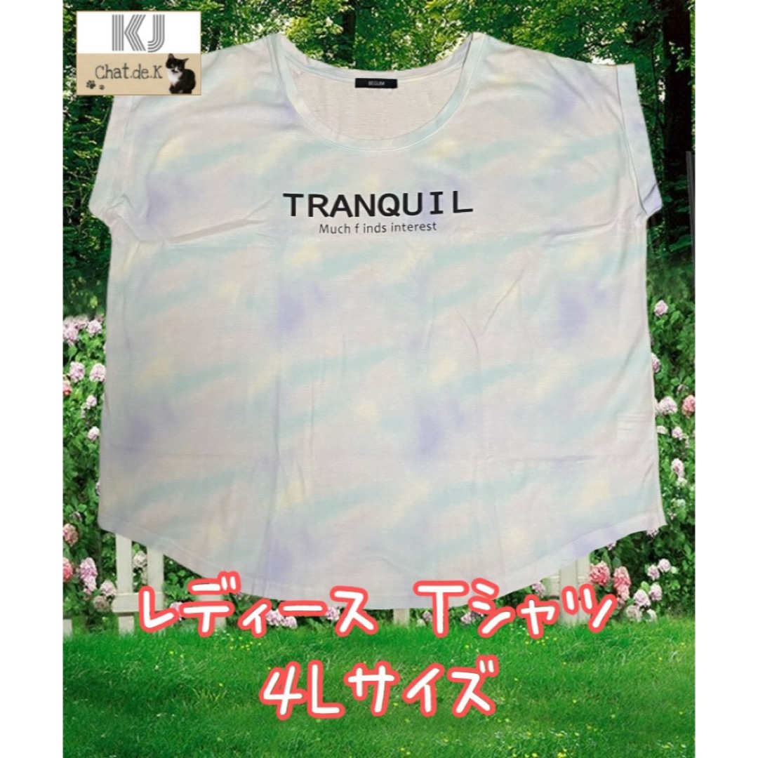 大きいサイズ レディース Tシャツ 4L レディースのトップス(Tシャツ(半袖/袖なし))の商品写真