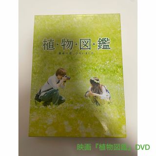 サンダイメジェイソウルブラザーズ(三代目 J Soul Brothers)の【一回再生済】映画『植物図鑑』DVD 岩田剛典主演(日本映画)