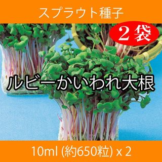 スプラウト種子 S-06 ルビーかいわれ大根 10ml 約650粒 x 2袋(野菜)