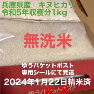 白米　兵庫県産　キヌヒカリ　1kg(米/穀物)