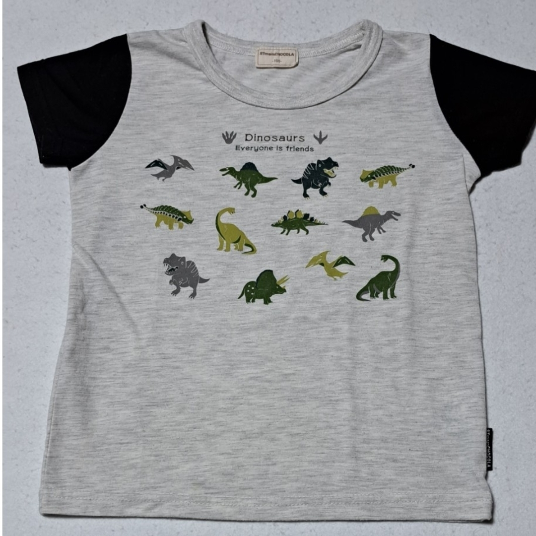 恐竜　Tシャツ　サイズ100 キッズ/ベビー/マタニティのキッズ服男の子用(90cm~)(Tシャツ/カットソー)の商品写真