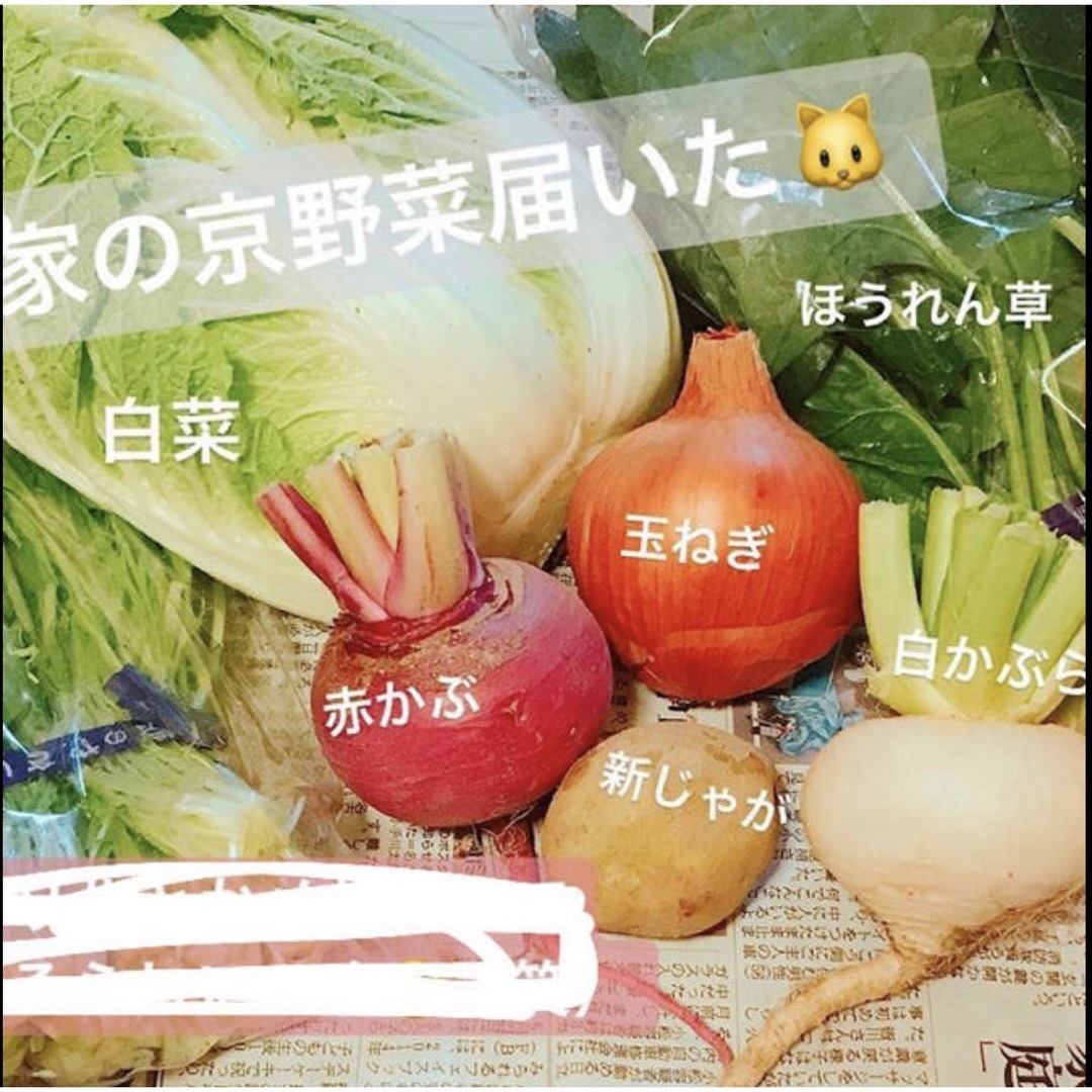京野菜 無農薬 野菜セット 食品/飲料/酒の食品(野菜)の商品写真