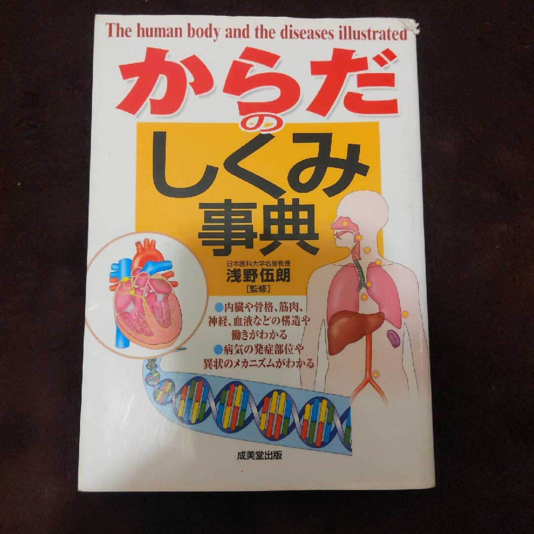 からだのしくみ事典 エンタメ/ホビーの本(健康/医学)の商品写真