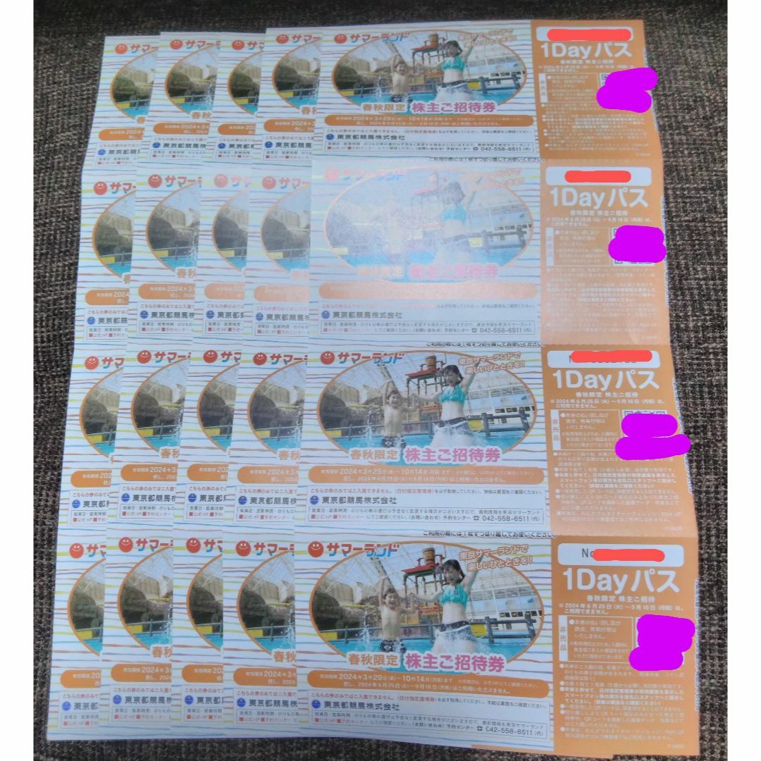 東京サマーランド1dayパス　株主優待 チケットの優待券/割引券(その他)の商品写真