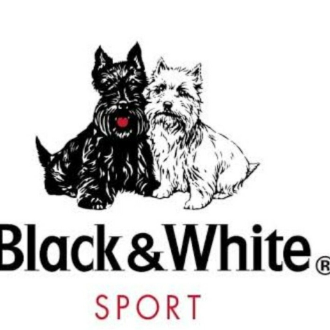 Black & White Sportswear(ブラックアンドホワイトスポーツウェア)のblack&white ニット ベスト L メンズのトップス(ベスト)の商品写真