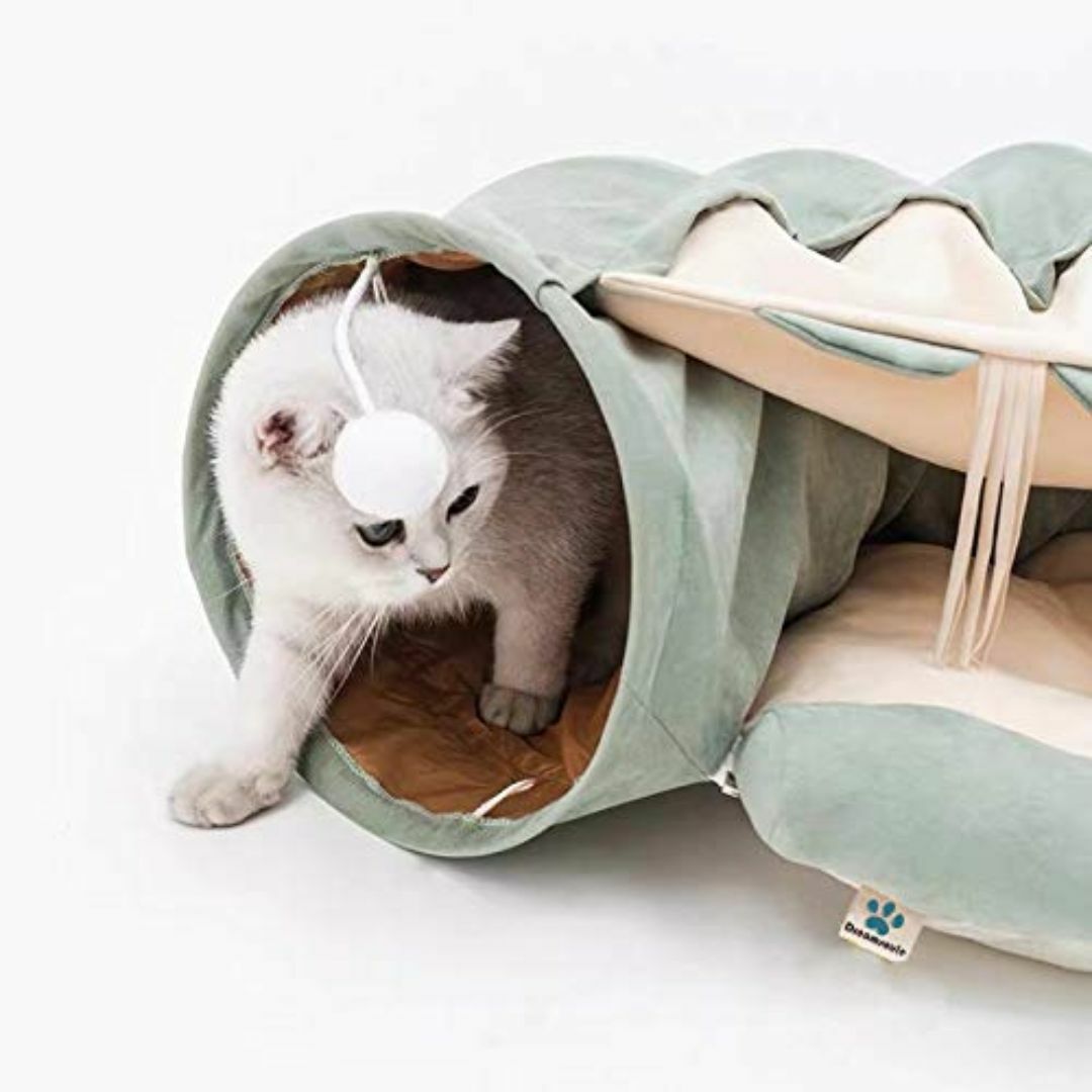 【色: グリーン】Dreamsoule-jp ねこトンネル 猫ハウス キャットト その他のペット用品(猫)の商品写真
