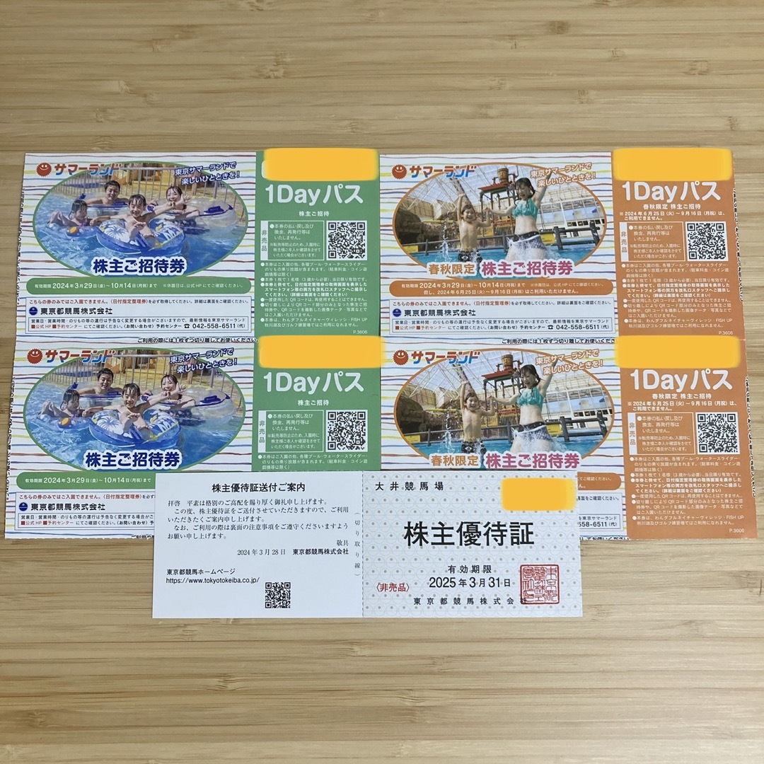 東京サマーランド　株主優待　4枚 チケットの施設利用券(遊園地/テーマパーク)の商品写真